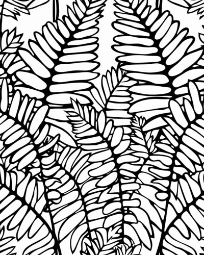 coloring page of a fern