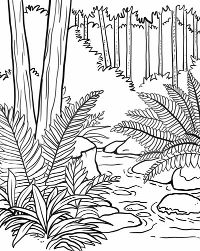 coloring page of ferns and a stream