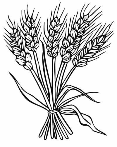 coloring page of a sheaf of wheat