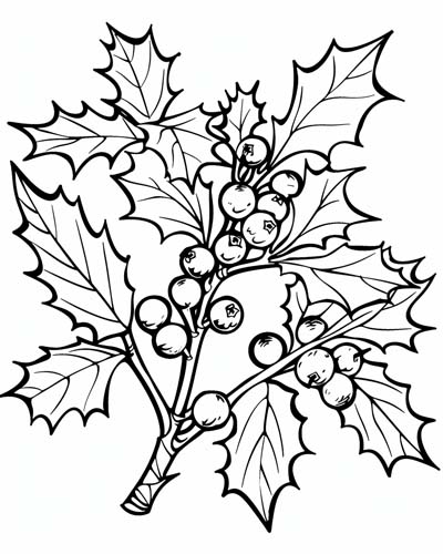 coloring page of holly