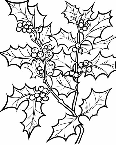 coloring page of holly