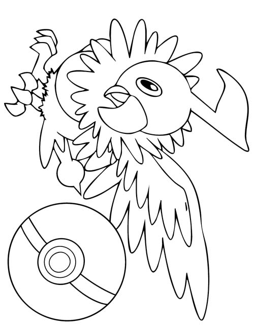 coloring page of chatot and a pokeball