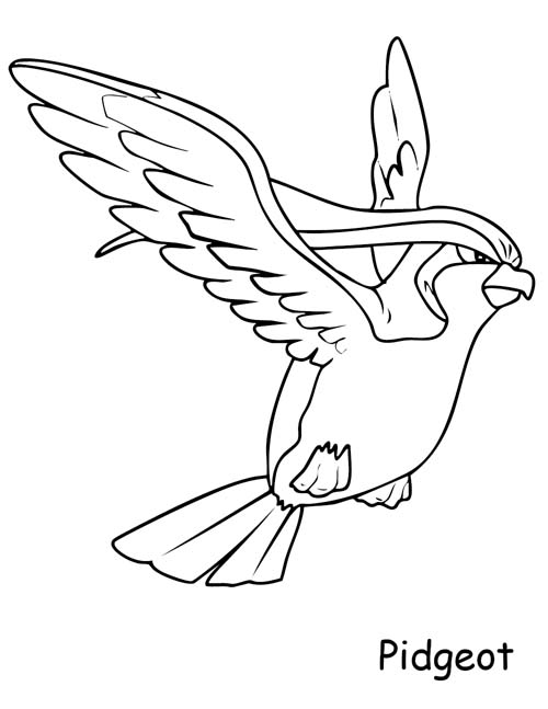 coloring page of Pidgeot