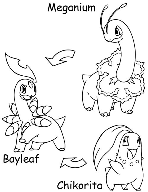 Chikorita, Bayleaf, Meganium evolution coloring page