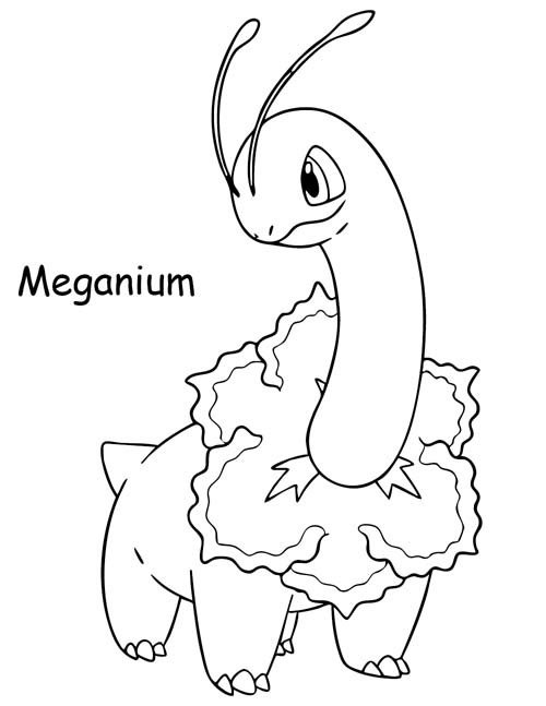 Meganium coloring page