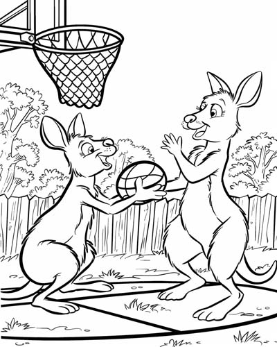 basketball kangaroos coloring page