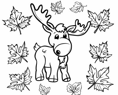 coloring page of a moose with maple leaves