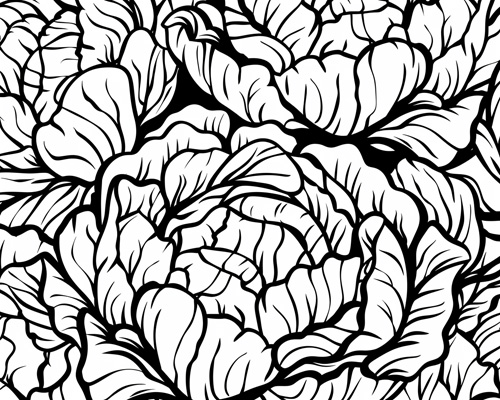 abstract cabbage coloring page