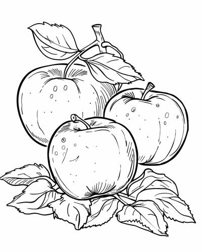 coloring page of the apples of immortality