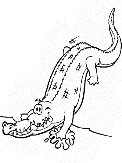 alligator coloring page