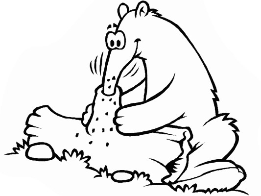 anteater coloring page