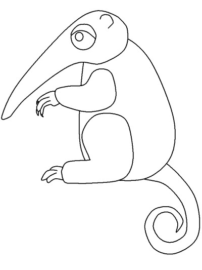 anteater coloring pages