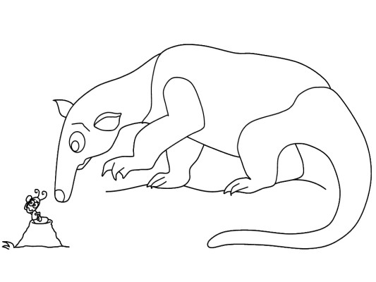 anteater coloring pages