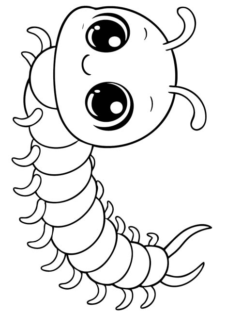 baby centipede coloring page