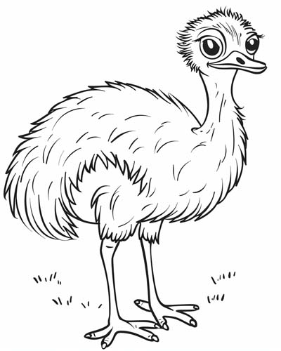 ostrich coloring page