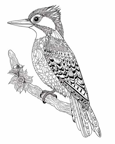 adult coloring page of a woodpecker