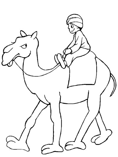camel with rider coloring page