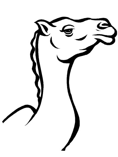camel head coloring page