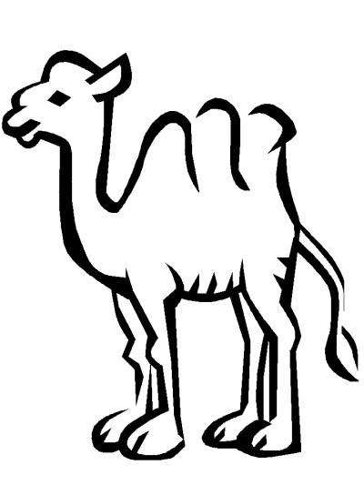 camel coloring page
