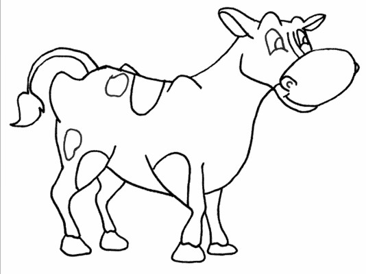 simple cow coloring page