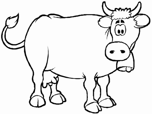 cow coloring page
