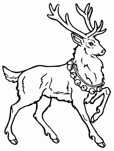reindeer coloring page