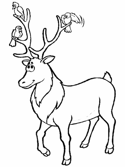 reindeer coloring page