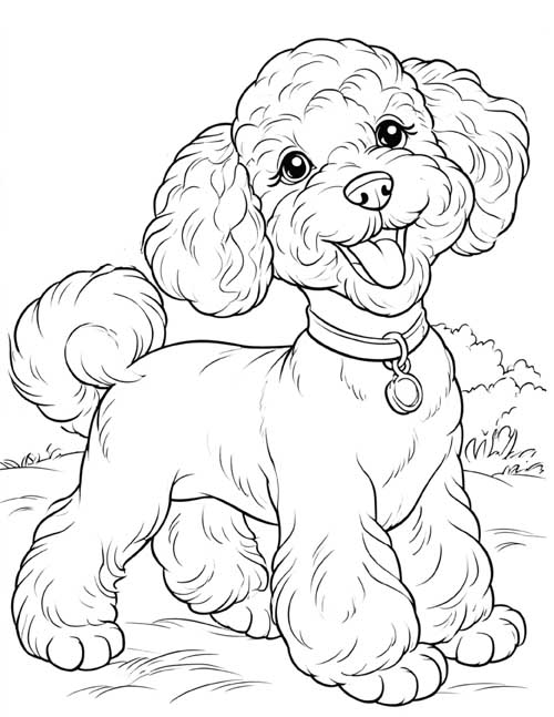 Coloring page of a happy Bichon Frise panting with its tongue out
