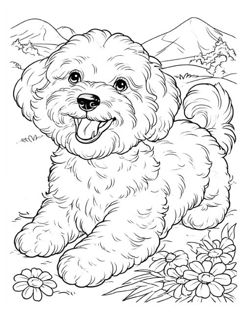 Coloring page of a Bichon Frise bounding through a meadow with mountains behind