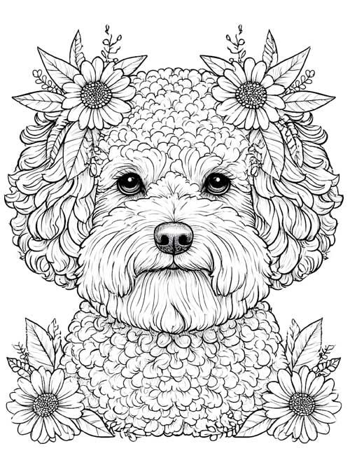 Detailed coloring page of a Bichon Frise face with sunflowers by its ears