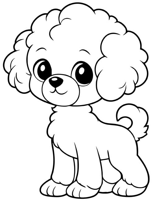 Simple preschool coloring page of a cartoon Bichon Frise puppy