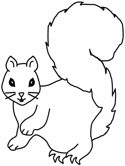 Scotland mammals - squirrel coloring page