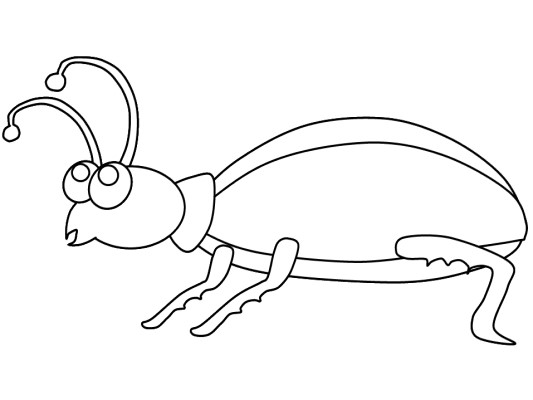 beetle coloring page