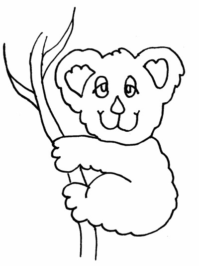 koala on a branch coloring page