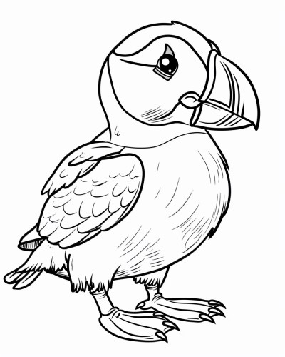 realistic puffin coloring page