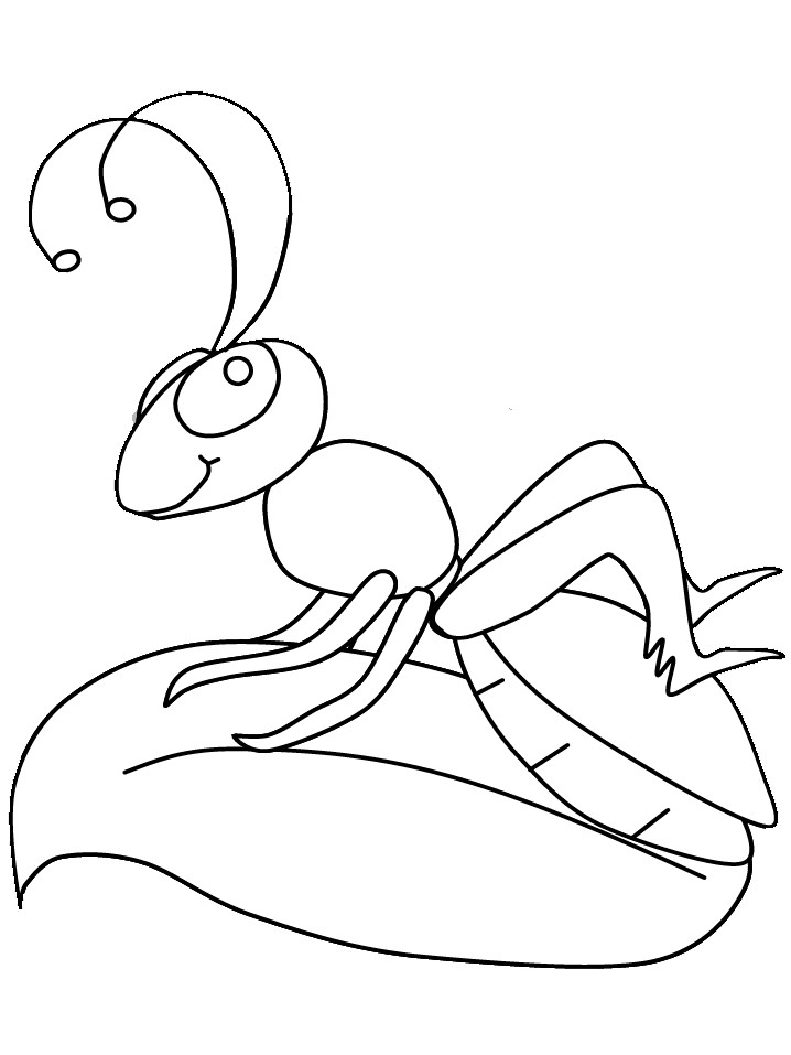 cricket coloring page