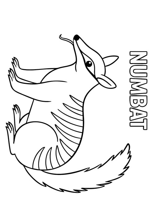 labeled Numbat coloring page