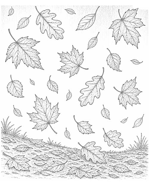 detailed, fine line coloring page of autumn leaves falling