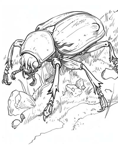 carrion beetle dad coloring page