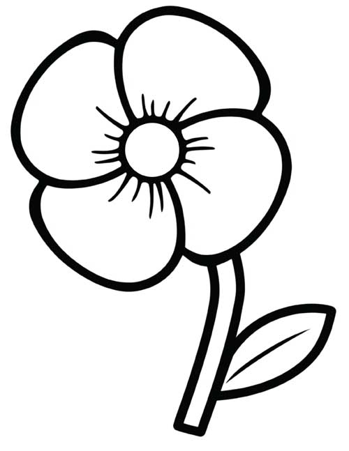 preschool coloring page of a simple poppy with a stem and leaf