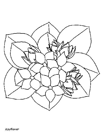 Mayflower coloring page