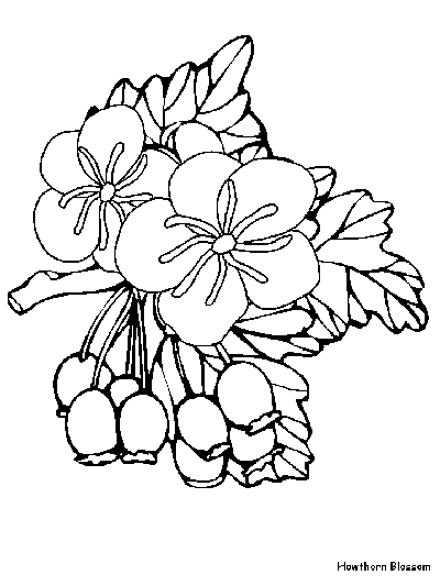 flowers coloring page