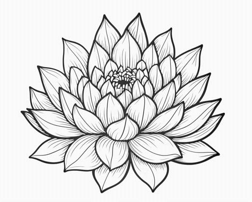 lotus flower coloring page