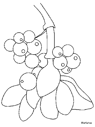 Mistletoe coloring page