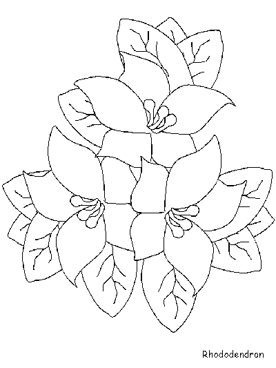 rhododendron coloring page