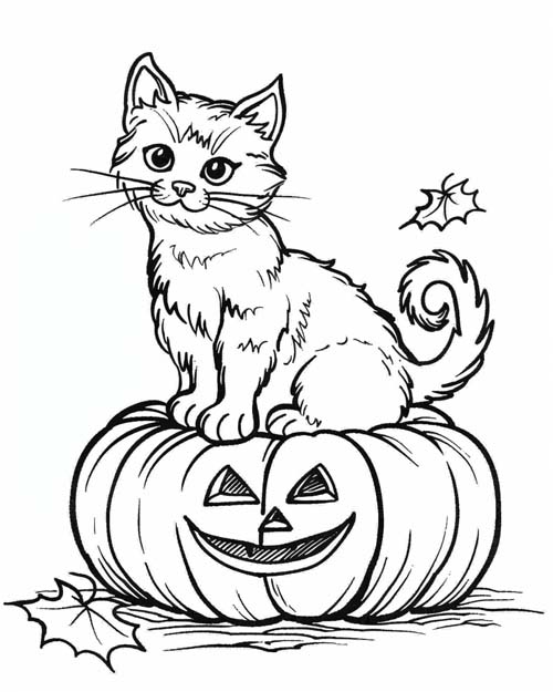 coloring page of a cat and a jack-o-lantern