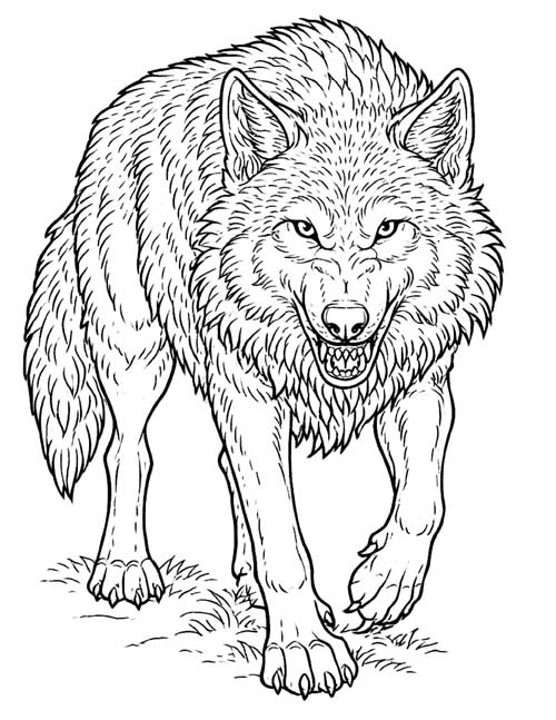 bold lines coloring page of a transformed werewolf stalking