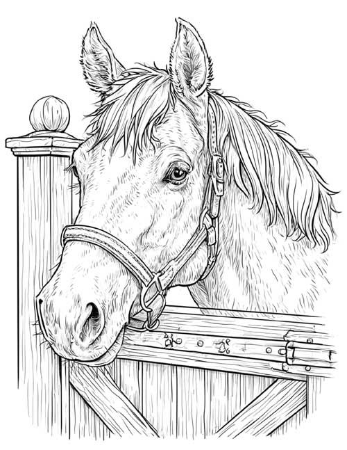 Coloring page of a horse looking over its stable door