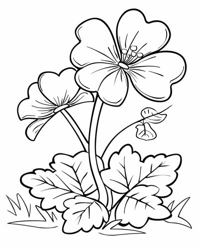 coloring page of shamrocks
