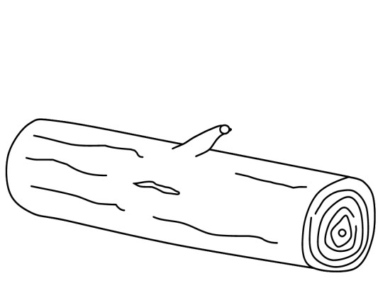 Trees Coloring Pages